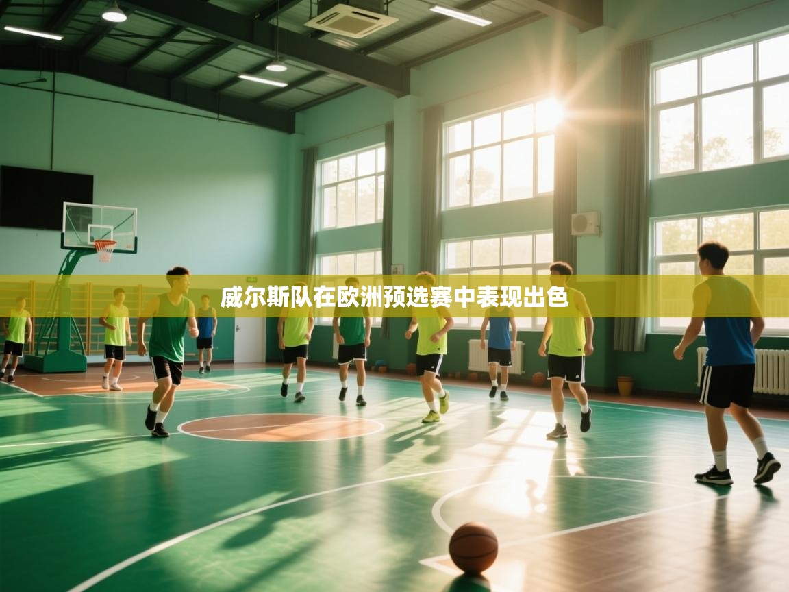 威尔斯队在欧洲预选赛中表现出色 第1张