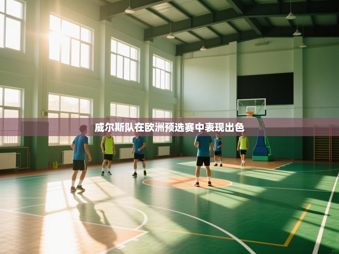 威尔斯队在欧洲预选赛中表现出色 第2张