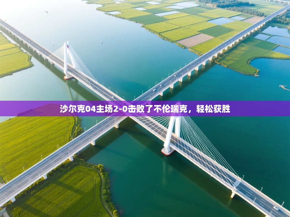 沙尔克04主场2-0击败了不伦瑞克,轻松获胜 第2张