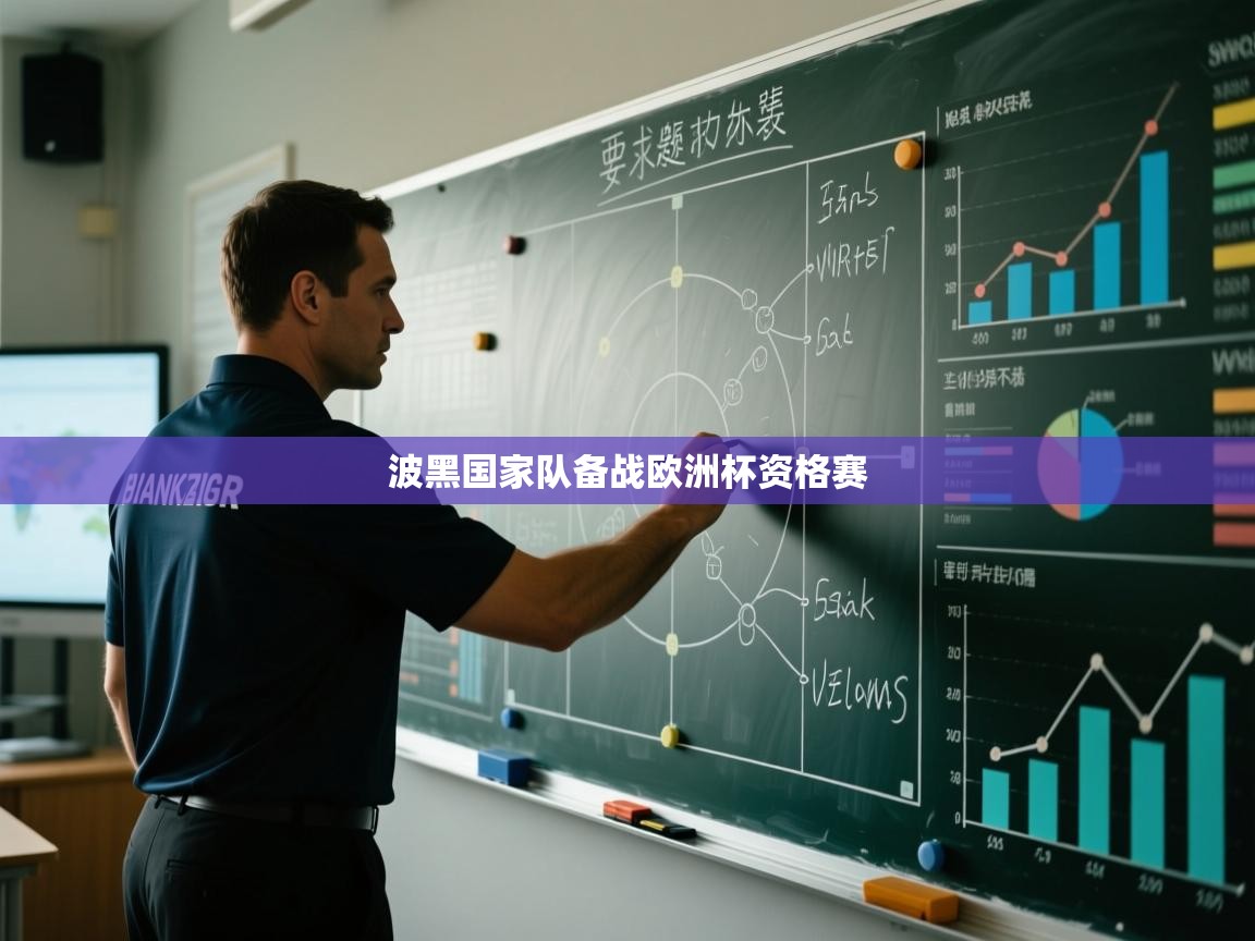 波黑国家队备战欧洲杯资格赛  第1张