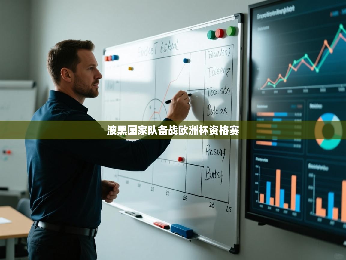 波黑国家队备战欧洲杯资格赛  第2张