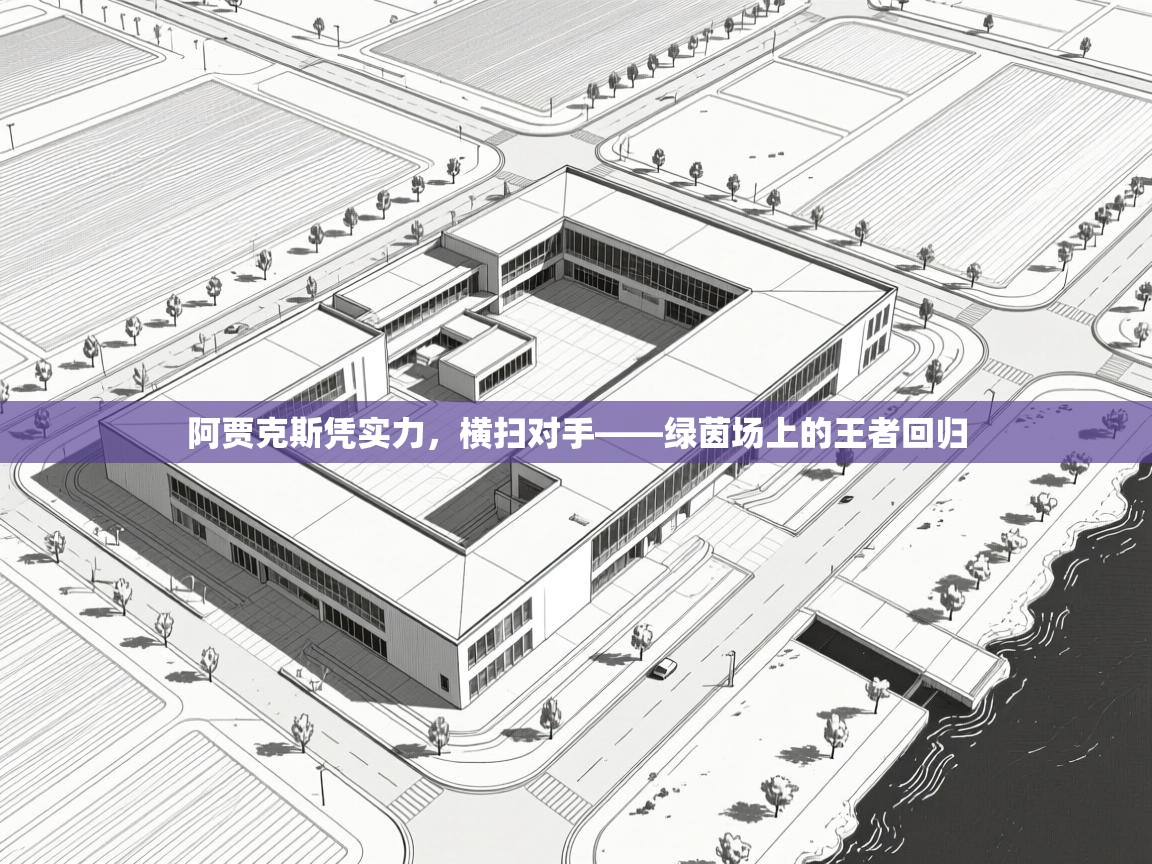 阿贾克斯凭实力，横扫对手——绿茵场上的王者回归  第1张