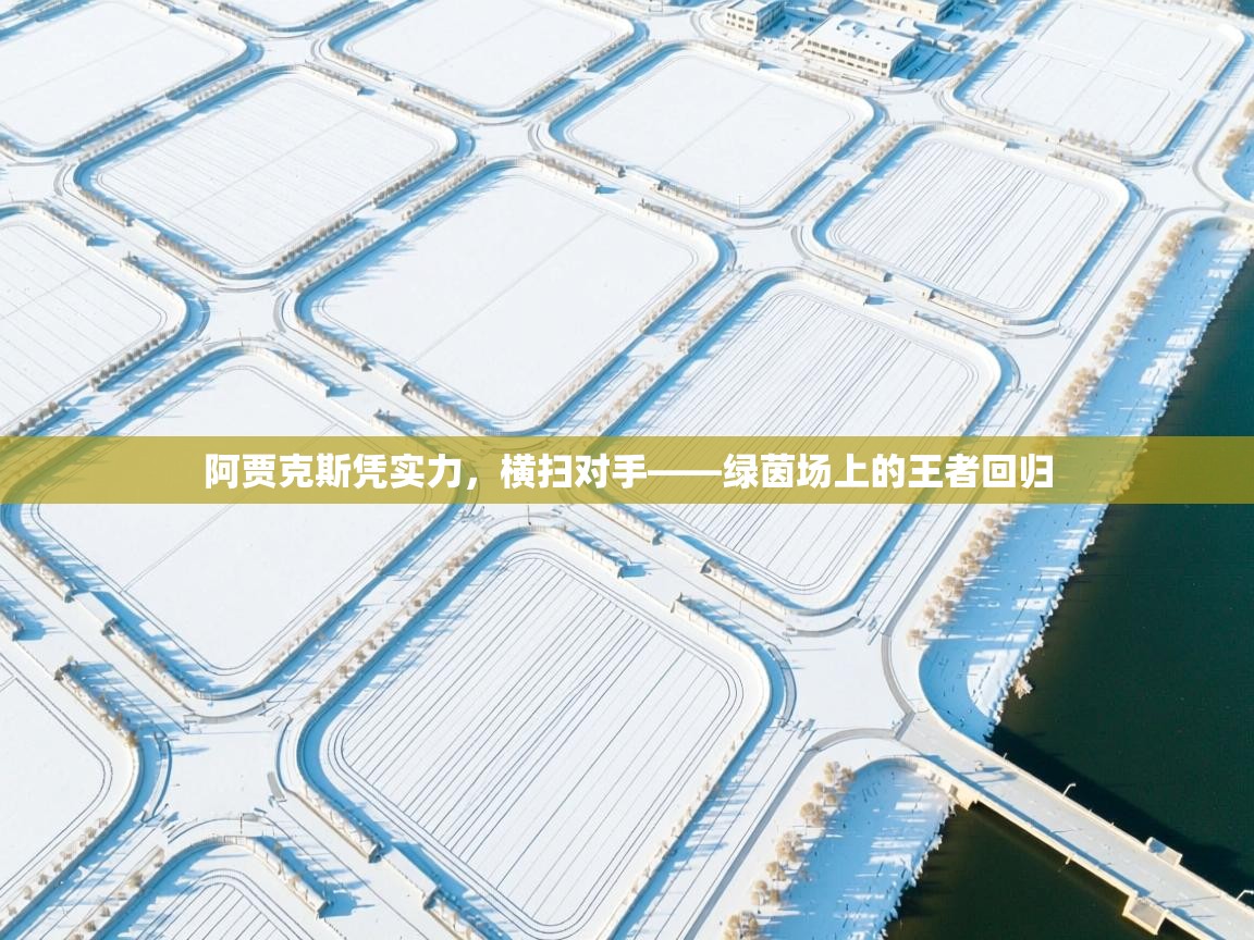 阿贾克斯凭实力，横扫对手——绿茵场上的王者回归  第2张