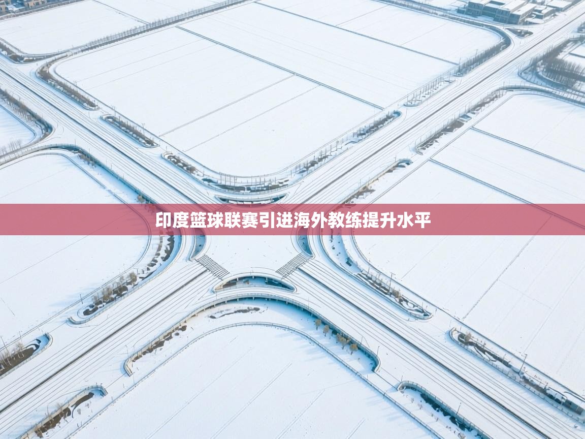 印度篮球联赛引进海外教练提升水平  第2张